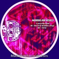 Vinyls : Modular HS 03 RP