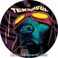 Metek VS Teknambul HS RP