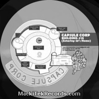 Capsule Corp 13