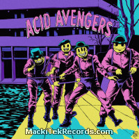 Vinyls : Acid Avengers Records 28