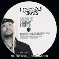 Vinyls : Hustlin Beats 005