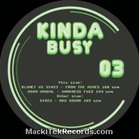 Vinyls : Kinda Busy 03