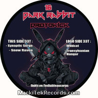 Vinyls : Dark Rabbit 16