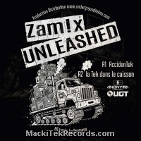 Vinyls : Zamix Unleashed