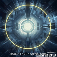 Vinyls : Machine Rise 003