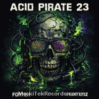 Vinyls : Acid Pirate 23