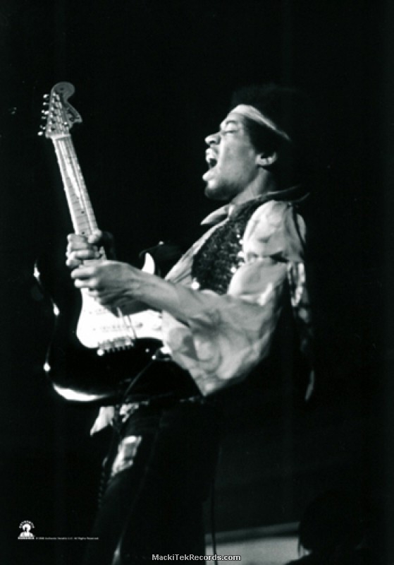 Flag Jimi Hendrix - Live - - MackiTek Records Shop - The
